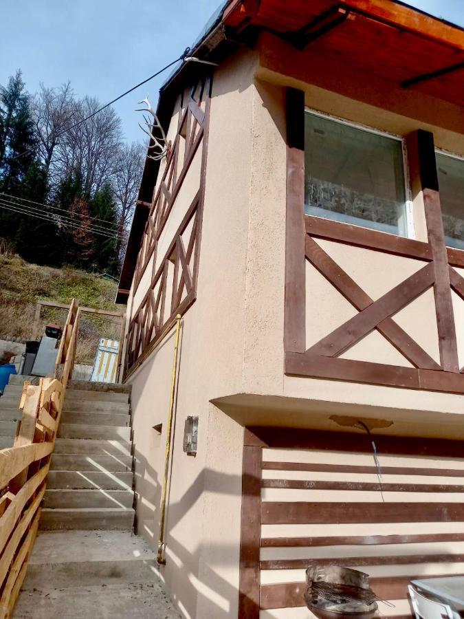 Doi Iepuri Apartment Azuga Luaran gambar