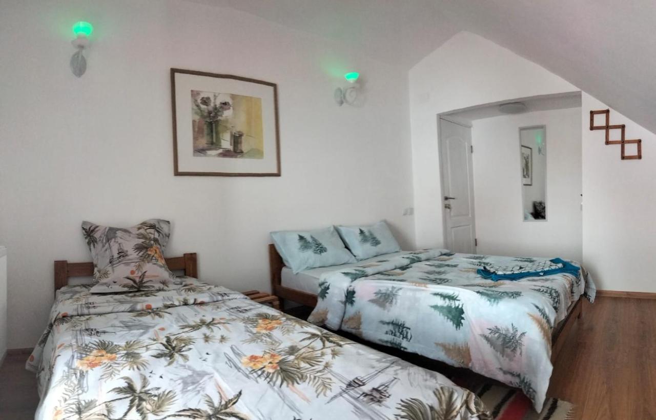 Doi Iepuri Apartment Azuga Luaran gambar