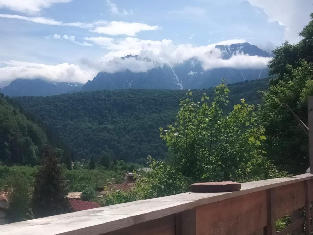 Doi Iepuri Apartment Azuga Luaran gambar